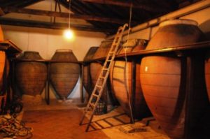 Small-Group Wine Tasting Day Trip from Madrid: Sample signature wines during this enriching epicurean tour